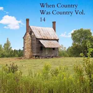 Various Artists: When Country Was Country, Vol.14