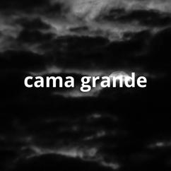 nelson x: cama grande