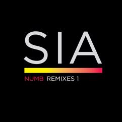 Sia: Numb (Paradise Soul Remix Pt 2)