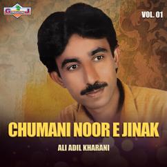 Ali Adil Kharani: Mein Chammani Nooray Jenik