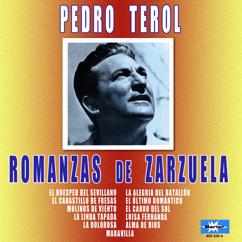 Pedro Terol, Rafael Ibarbia: Bella enamorada (Romanza de Enrique de "El último romántico")