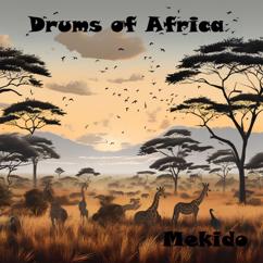 Mekido: Drums of Africa
