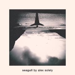 Alex Solely: Seagull