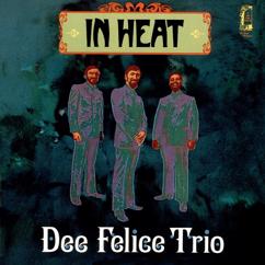 Dee Felice Trio: There Was a Time