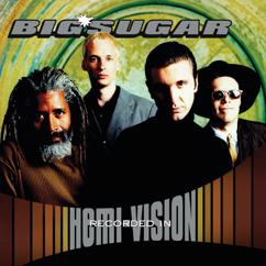 Big Sugar: Diggin' A Hole (Acoustic Version)