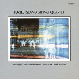 Turtle Island String Quartet: Turtle Island String Quartet