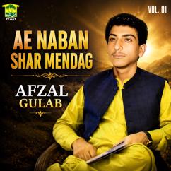 Afzal Gulab: Chya To Naz Kane