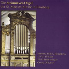 Markéta Schley Reindlová, Ulrich Theißen, Silvia Emmenlauer & Georg Ditterich: Die Steinmeyer-Orgel der St. Martins-Kirche in Bamberg