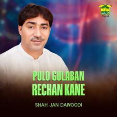 Shah Jan Dawoodi: Pulo Gulaban Rechan Kane