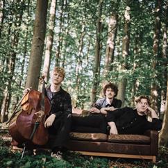 Brdr. Mortensen Trio: Gemt i havets dybde