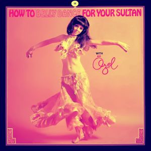 Ozel Turkbas: How to Belly Dance for Your Sultan