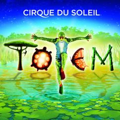 Cirque du Soleil: Terre-mère