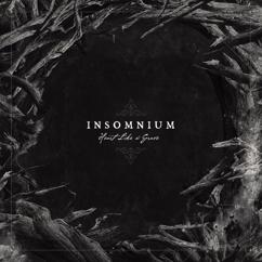 Insomnium: Mute Is My Sorrow