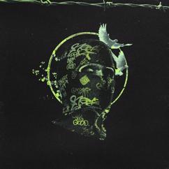 Setlist Damage: Stay True
