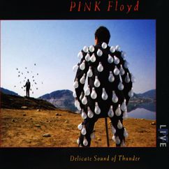 Pink Floyd: Sorrow