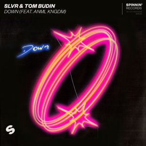 SLVR & Tom Budin: Down (feat. ANML KNGDM) (Extended Mix)