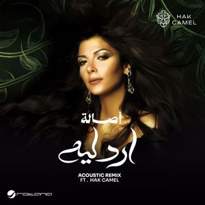 Assala, Hak Camel: Arud Leah (feat. Hak Camel)