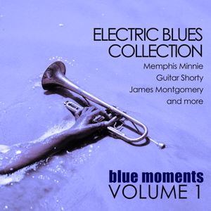 Various Artists: Electric Blues Collection: Blue Moments, Volume 1