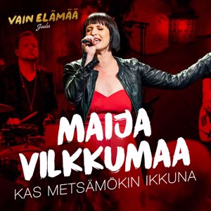 Maija Vilkkumaa: Kas metsämökin ikkuna (Vain elämää joulu)