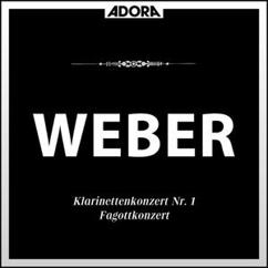 Württembergisches Kammerorchester, Georg Zuckermann, Jörg Faerber: Fagottkonzert in F Major, Op. 75: I. Allegro ma non troppo