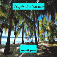 musik.poet: Tropische Nächte