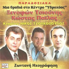 Nikos Tzoukopoulos: Σκάρος
