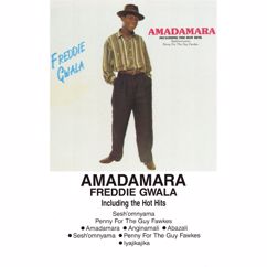 Freddie Gwala: Amadamara