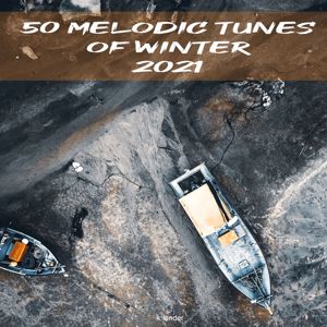 Various Artists: 50 Melodic Tunes of Winter 2021