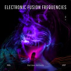 Various Artists: Electronic Fusion Frequencies, Vol. 4