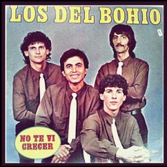 Los del Bohio: No Te Vi Crecer