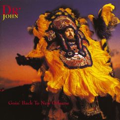 Dr. John: How Come My Dog Don't Bark (When You Come Around)
