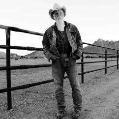 Seasick Steve: Keep That Horse Between You And The Ground