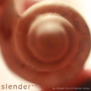 Serkan Alkan & Gulsah Erol: Slender