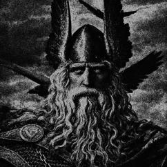 fijorddd: fijord moonlight(tiktok viking song)