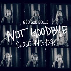 Goo Goo Dolls: Not Goodbye (Close My Eyes)