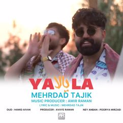Mehrdad Tajik: Yala