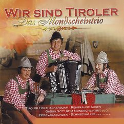 Mondscheintrio: Tiroler Holzhackerbuam