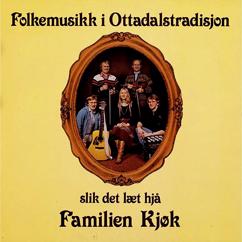 Familien Kjøk: Gamel-Steinin