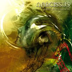 Narcissus: Grey