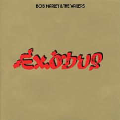 Bob Marley & The Wailers: One Love / People Get Ready