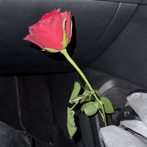 Madame: M'AMA NON M'AMA