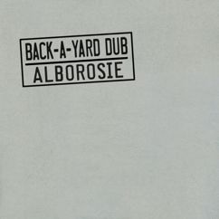 Alborosie: This Is Dub Time