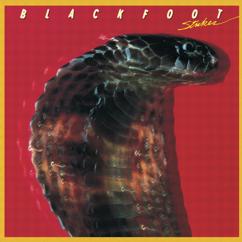 Blackfoot: Highway Song