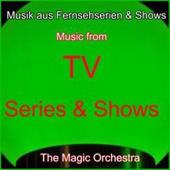 The Magic Orchestra: Ein Fall für zwei