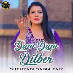 Shehzadi Saira Faiz: Dam Dam Dilber