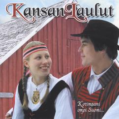 Tauski: Ol' kaunis kesäilta