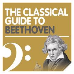 Vermeer Quartet: Beethoven: String Quartet No. 13 in B-Flat Major, Op. 130: V. Cavatina. Adagio molto espressivo