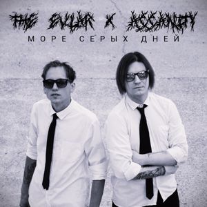 The Evlar feat. Assanity: Море Серых Дней