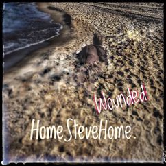HomeSteveHome: Wounded
