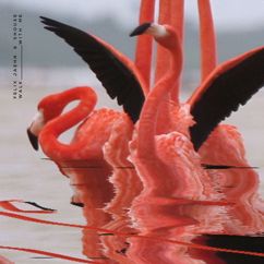 Felix Jaehn: Walk With Me (Edit)